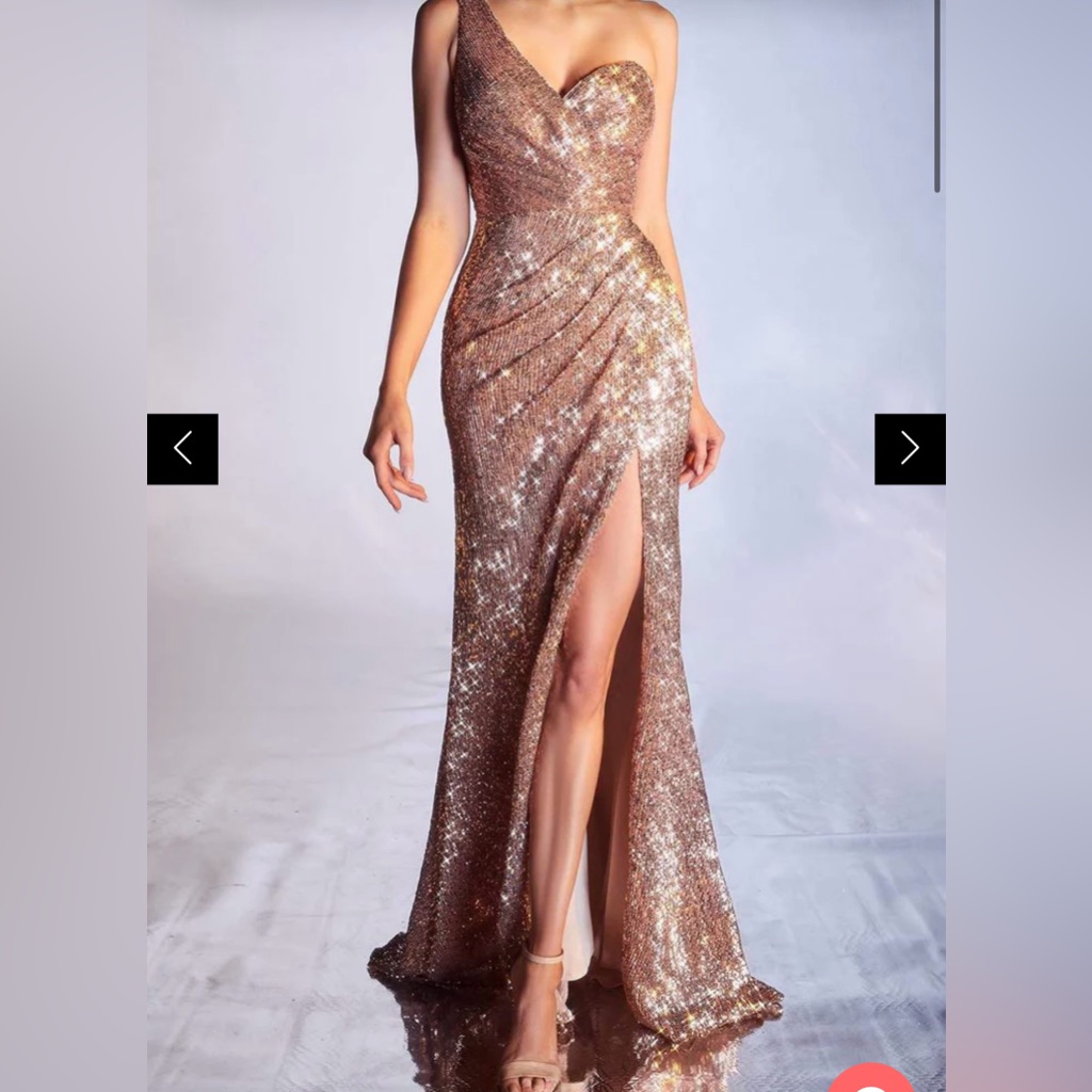 Cinderella Divine Rose Gold Sequined Gown